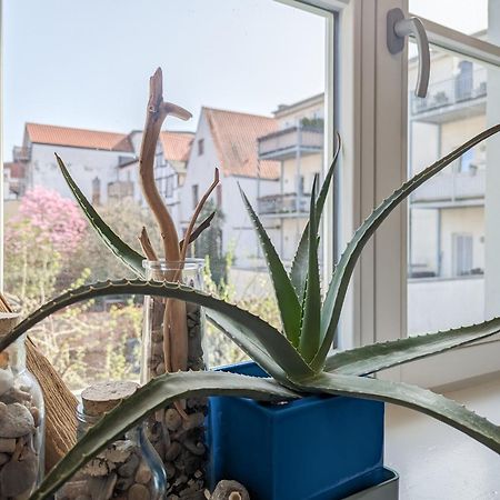 Strelapartment By Meinke Mitten In Der Altstadt Stralsund Eksteriør billede